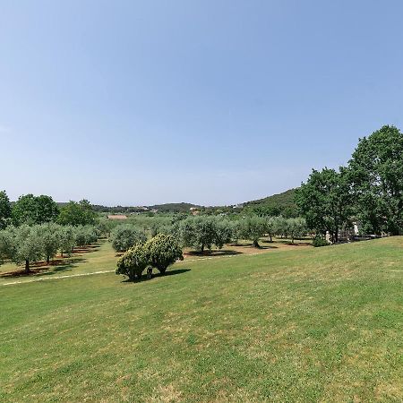 Sun Garden Premium Apartments Vrsar Zewnętrze zdjęcie