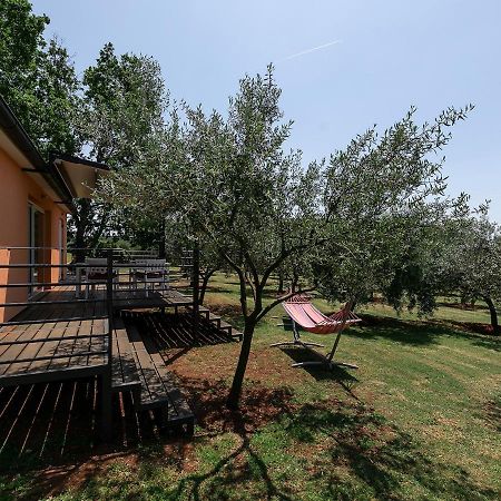 Sun Garden Premium Apartments Vrsar Zewnętrze zdjęcie